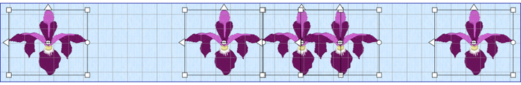 Flowers Alignment 4